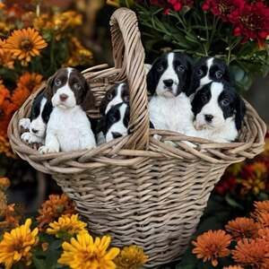 Meet your Posher, Leeann